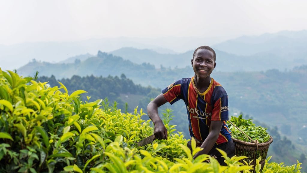 ruzogo-lodge-bwindi-22
