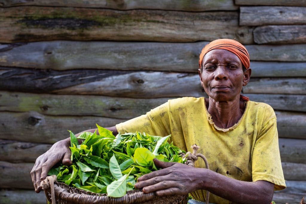 ruzogo-lodge-bwindi-20